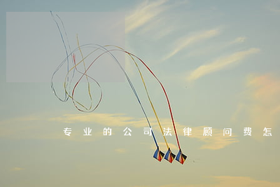 公司聘請(qǐng)專業(yè)法律顧問的費(fèi)用計(jì)算與法律事務(wù)代理指南